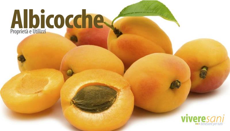Albicocca, tipico frutto dell'estate